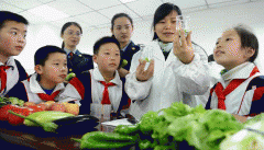 <b>食物平安虽然只是的一项工做内容</b>